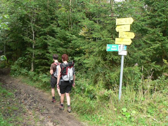 Am Dirnboden erreichen wir den breiten Gipfelgrat, von hier geht's in einigen wenigen Minuten zum Dirngipfel