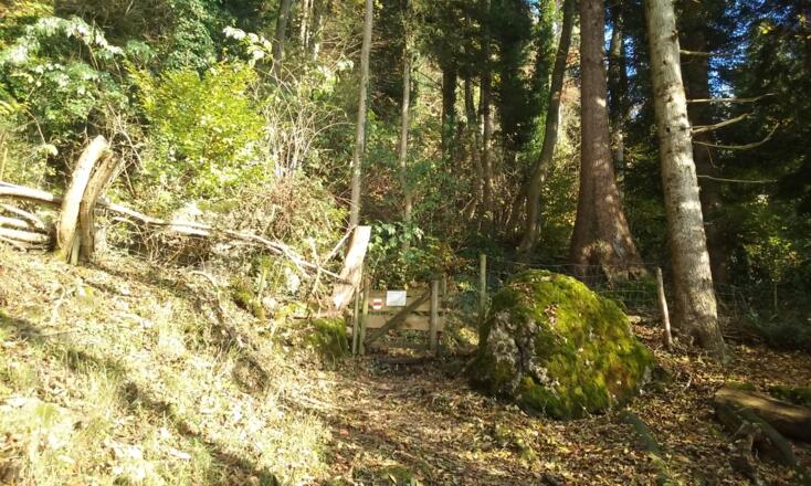 Das 2. Gatter / 2nd gate