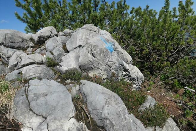 Ein blauer Pfeil, dass man nicht verleitet wird über den Felsen rüber zu klettern, das wäre fatal. So geht's rechts runter