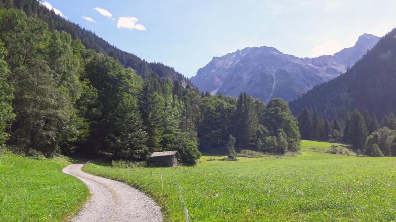 Forstweg Richtung Kesselfall