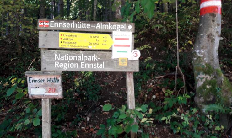 Startpunkt 785m (Sommerfoto)