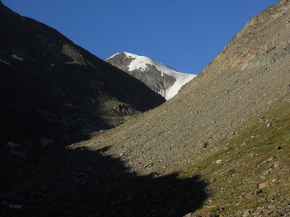 Similaun in der Morgensonne