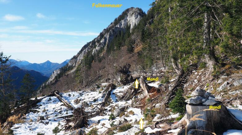 Querung Kahlschlag , Senke ~1340m