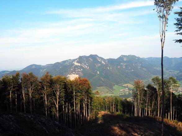 Steinmüllerberg 1099m, Blick zum Dürren Eck und Schoberstein