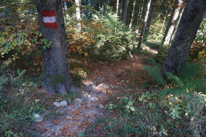 Wanderweg nach der Jageralmhütte