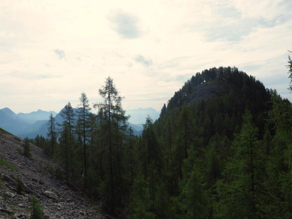 Lärchkogel 1788m