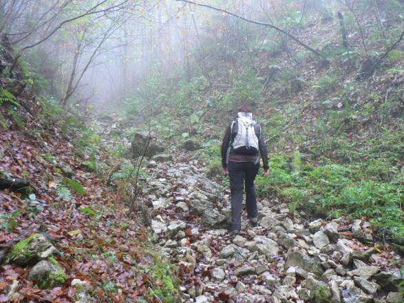 Dann ein Stück über ein trockenes Bachbett