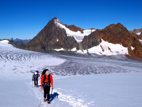 Schrankogel vom Alpeiner Ferner (Tour Ruderhofspitze)