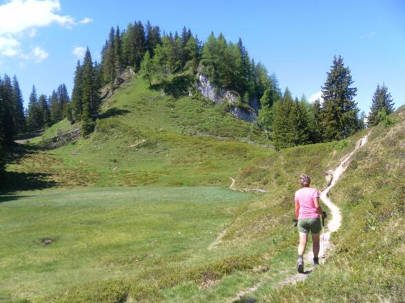 Hochmoor vor Kreuzkögerl