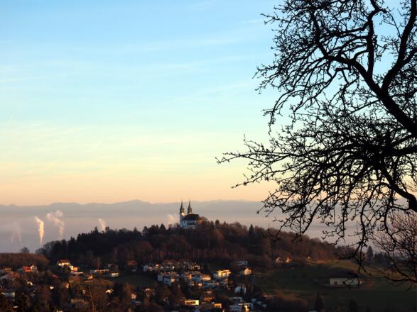 Pöstlingbergblick um 575m