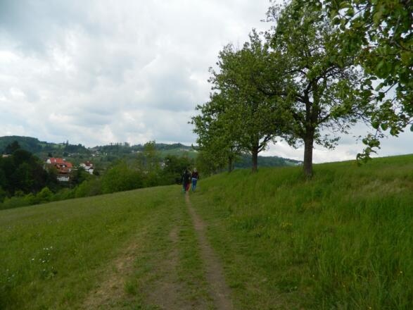 beim Freiseder gegen Koglerau