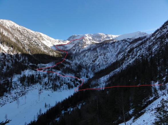 Mitterberg vom Beginn des Forstweges am Ostrand der Hutterböden