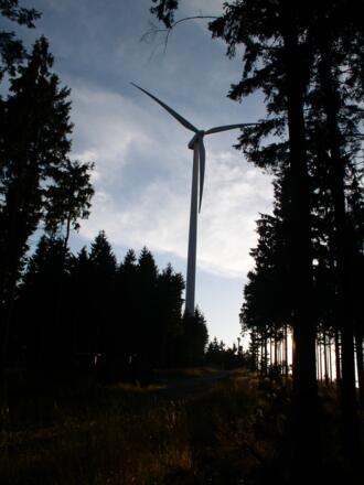 Windpark Sternwald - Hvezda