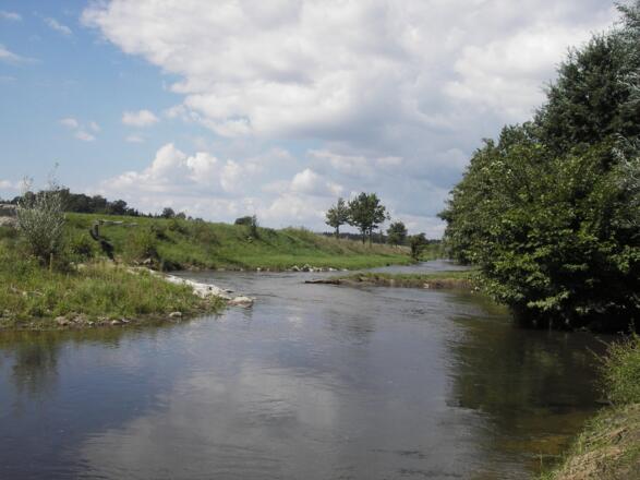 Renaturierung im Naarn-Unterlauf