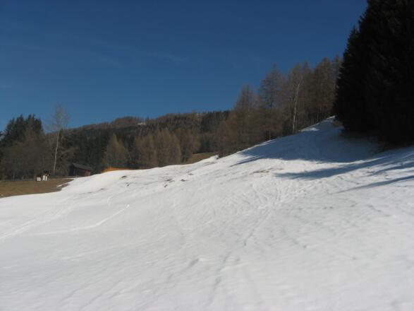 Bei den Lärchen verlassen wir die Piste und verwenden die Forststraße.