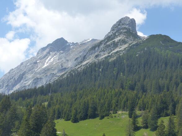 Von der Walderalm geht es zur Hinterhornalm. Darüber thronen Hundskopf und Walderkamp Spitze.