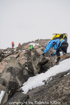 die letzten Meter auf Platten
