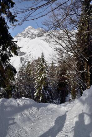 Steiler Aufstieg durch den Wald