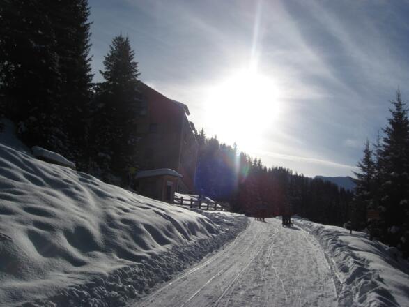 Kurz vor der Naviserhütte