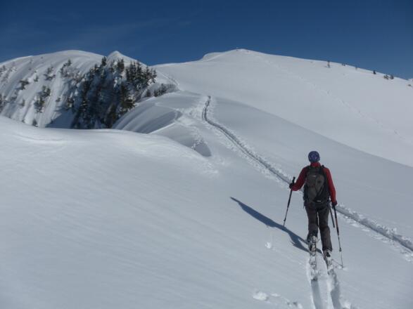 am Gipfelkamm des Falzer Kopfs