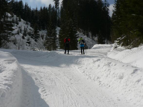 Vor der Linkskehre zweigt der Wanderweg nach rechts ab