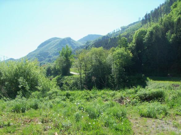 Blick auf den ersten Teil des Radweges der Enns entlang.