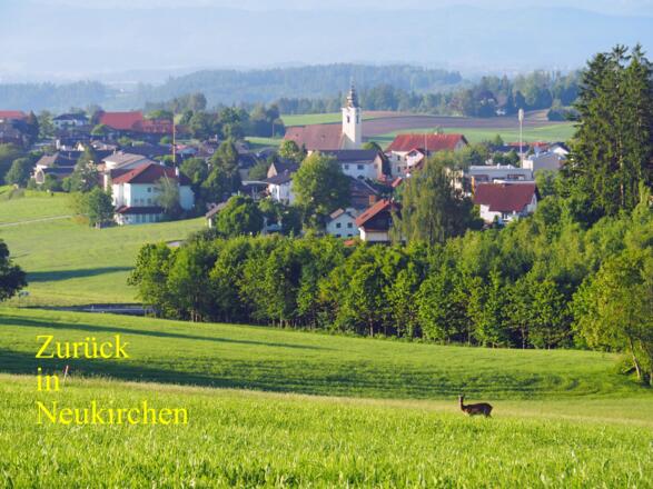 Zurück in Neukirchen an der Vöckla