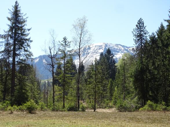 ... und idyllische Landschaften