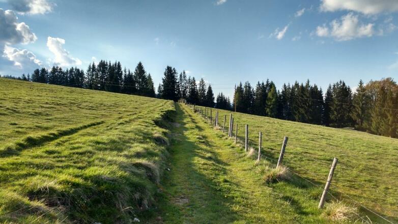 Herrliche Wanderwege im Raum Pack!