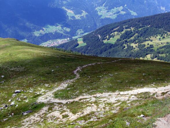 Auf dem Rückweg. Dieser schöne Steig führt durch saftig grüne Almwiesen zurück zur Goglesalm.