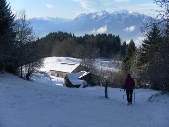 Spallenhof