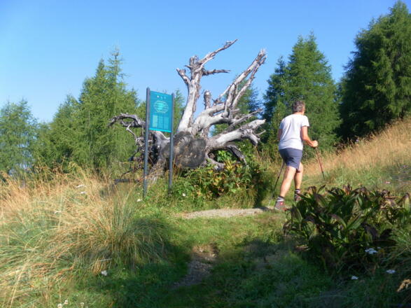 Themenweg Natur