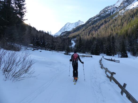 Noch im Schatten folgen wir der Rodelbahn taleinwärts.