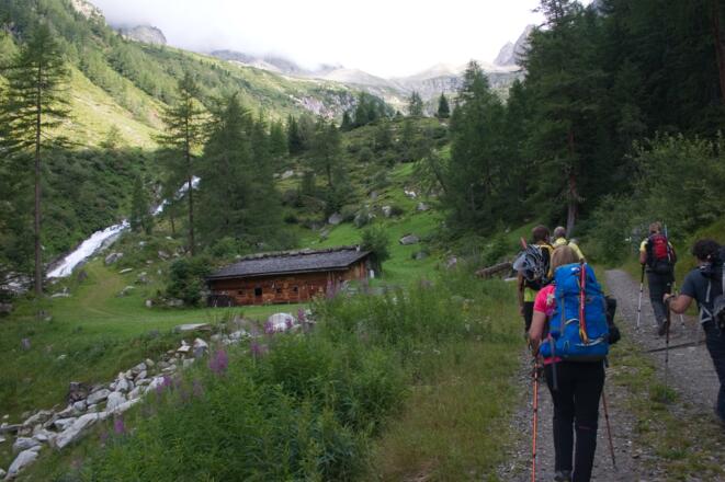 Auf bequemer Forststrasse durch das Rotbachtal , vorbei an Almen und Hütten.