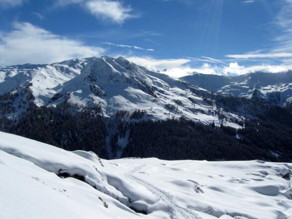 Wünderschöne Böden oberhalb der Zehenter Alm. Auf der gegenüberliegenden Talseite: das Naviser Kreuzjöchl.