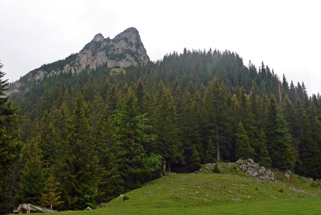 Unter dem Rotspitz