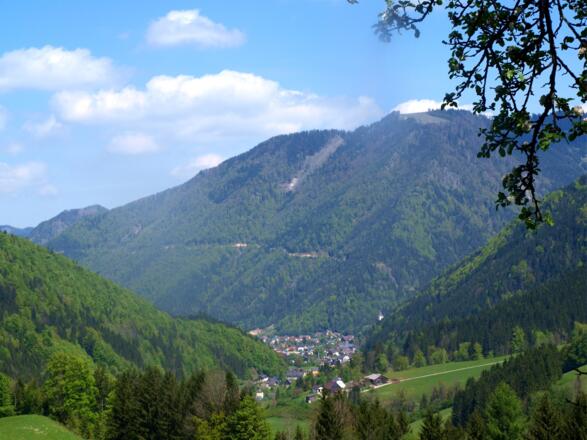 Blick auf Hollersbach