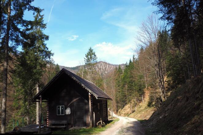 Jagdhütte~ 710m