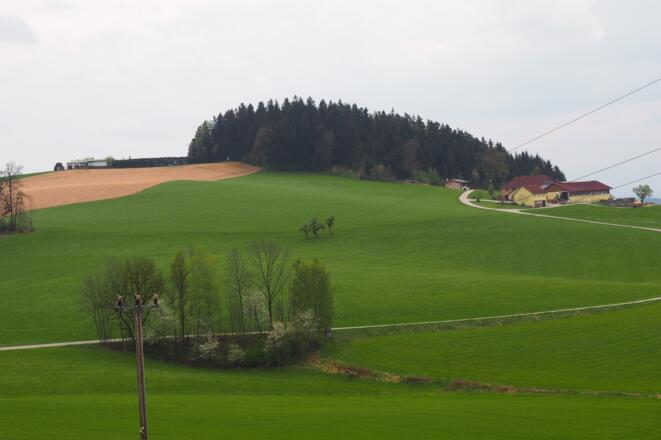 Hamberg 567m von Norden gesehen