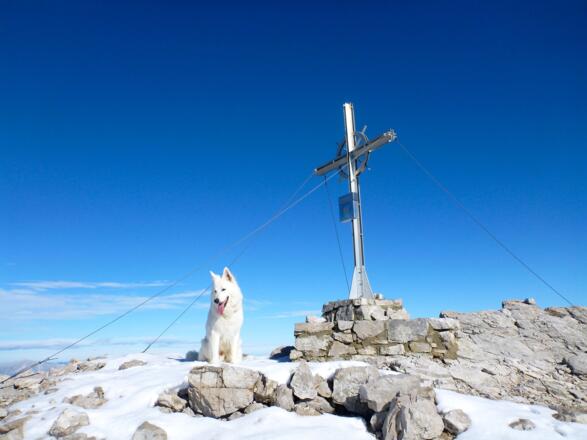 Am Gipfel der hinteren Bachofenspitze