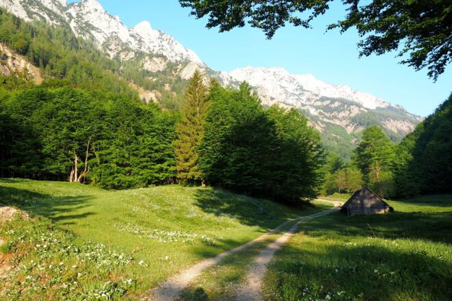 Fast im Tal, Lettneralm 663m