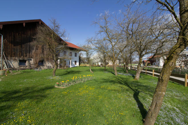 Blick auf den Garten