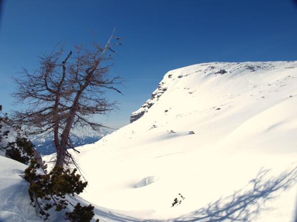 Berwurzkoppe 1991m mit Blick zum Nazogel auf ~1850m,