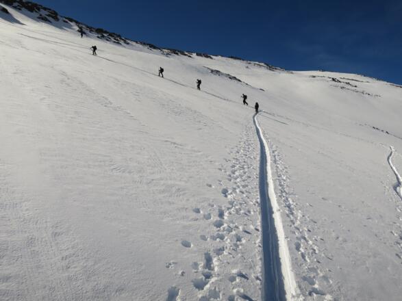 ... den Hang hinauf und auf ...