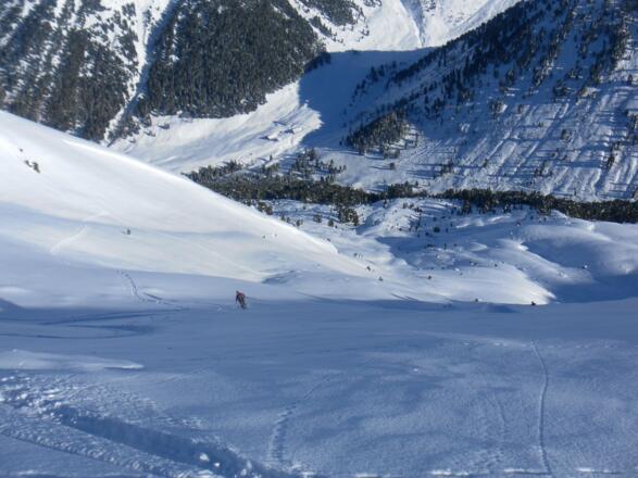 Osthänge zur Kemater Alm