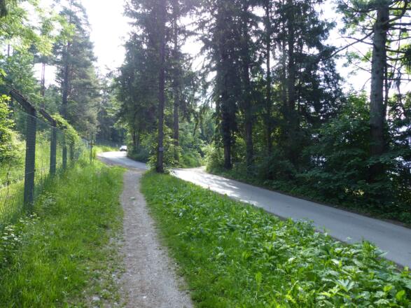 Am Ende des Traktorweges erreichen wir die Landesstraße, ...