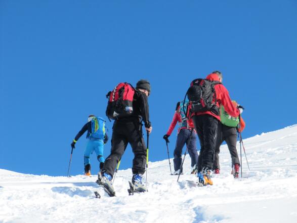 Im Gänsemarsch dem Gipfel entgegen