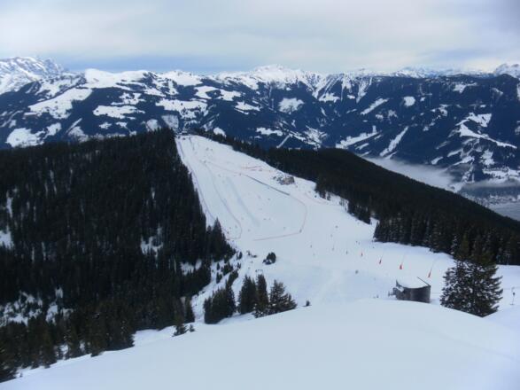 Wankrautkopf