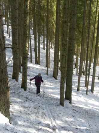 Hochwald