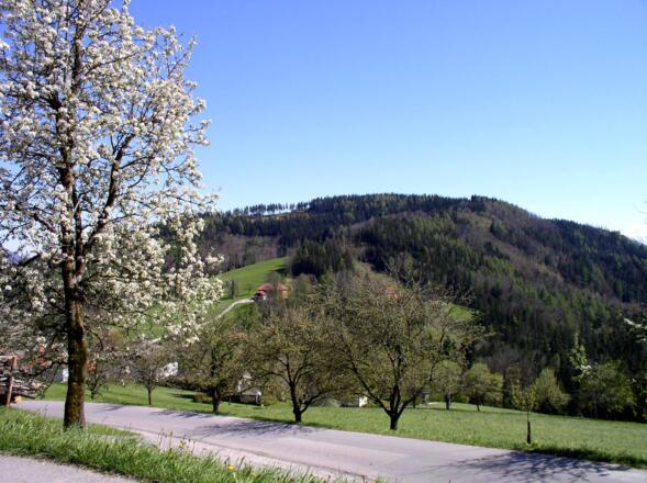 Oberhammet 886m von Oberndorf